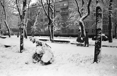 416001153 3677175659229664 4464339987267916571 n