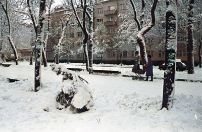 416001153 3677175659229664 4464339987267916571 n2