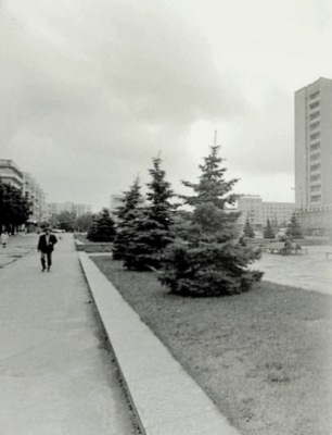 416010658 3677176529229577 8307689860688222566 n