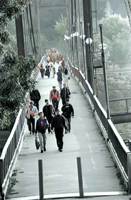 416010690 3677175759229654 8762274872316966045 n2