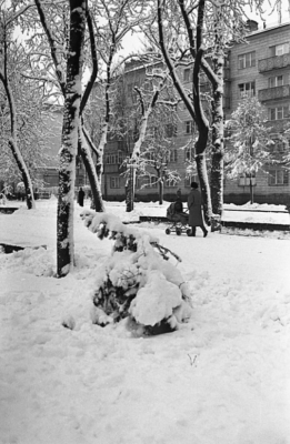 416014273 3677175719229658 4227523128701700492 n