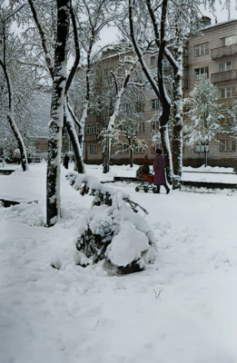 416014273_3677175719229658_4227523128701700492_n2 3 416014273 3677175719229658 4227523128701700492 n2