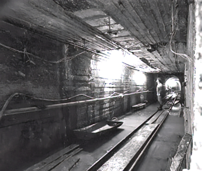 416051562 3677177245896172 2487406603883569502 n