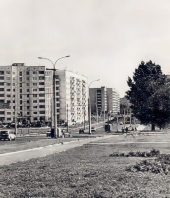 Житомир Польова Вітрука 1982 3 Житомир Польова 1982